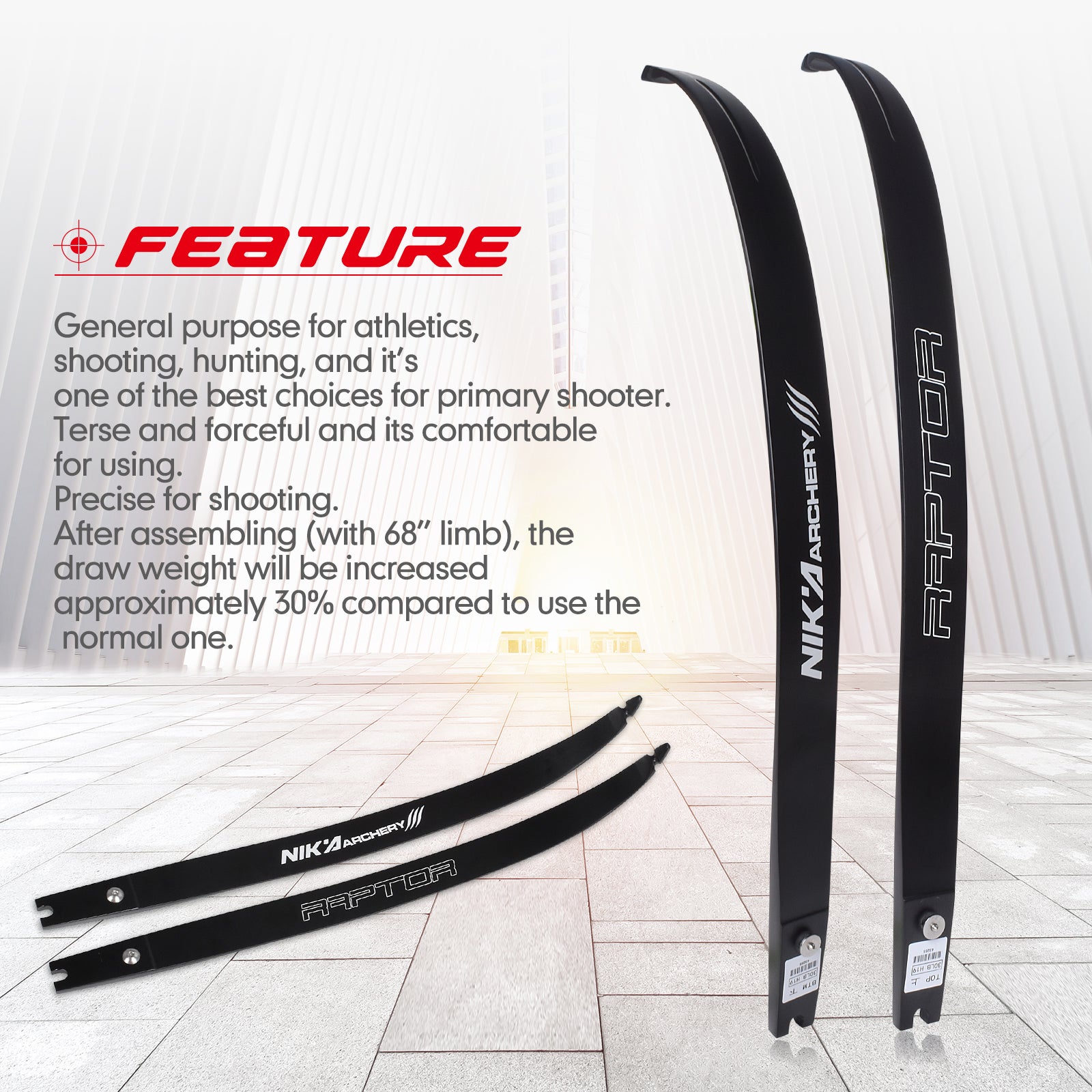 Raptor Limb 68'' @25H Recurve Bow ILF Limbs