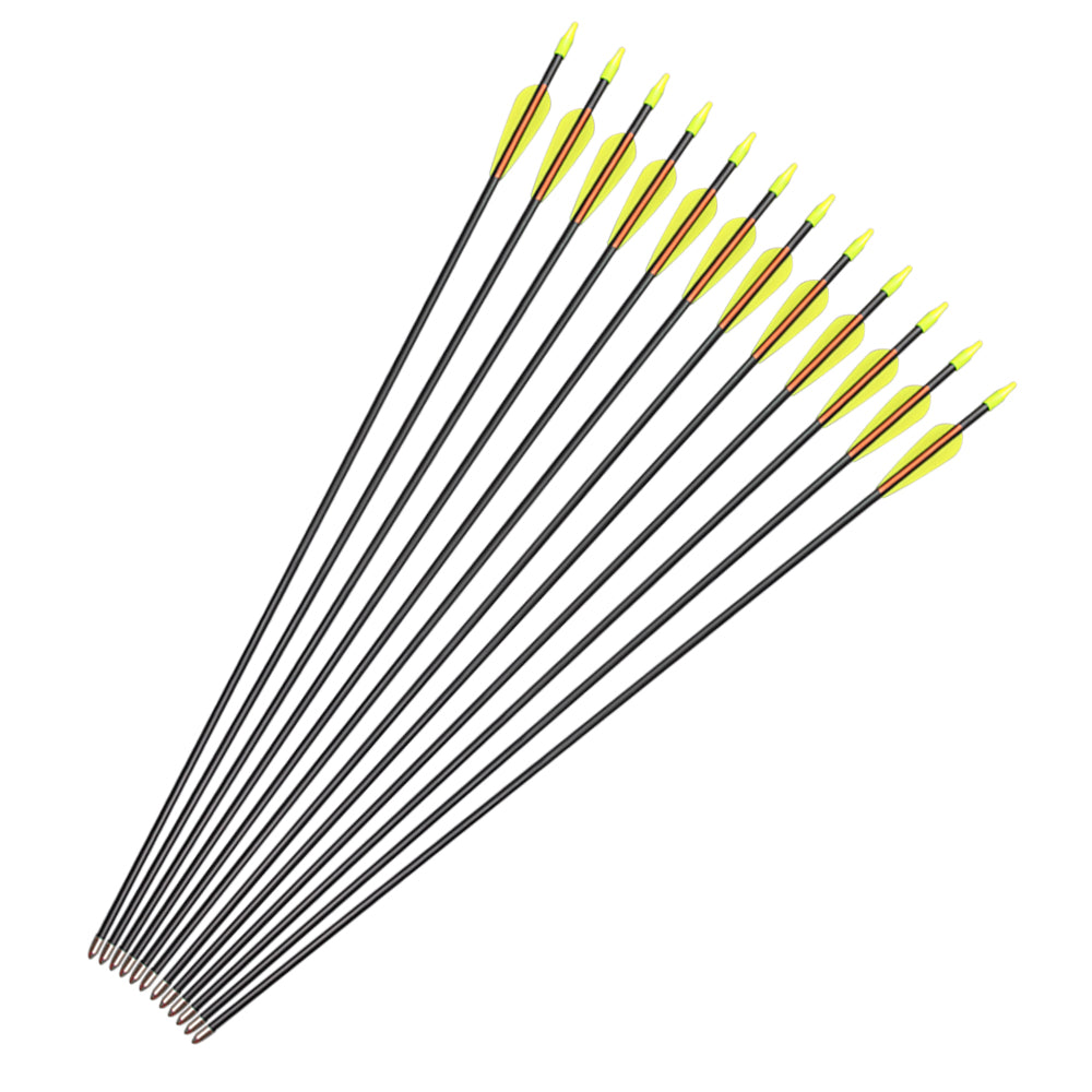 Youth Archery Fiberglass Arrows for Recurve bow Target Shooting (Pack of 12)