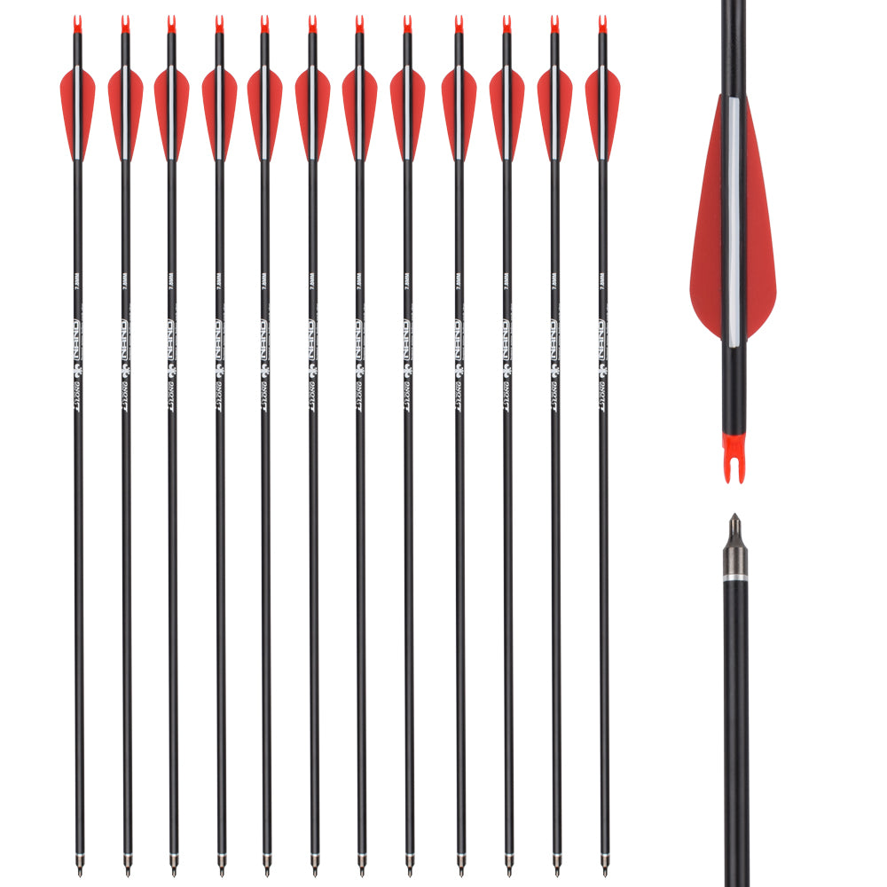 Youth Archery Carbon Arrows Target Hunting Shooting (Pack of 12)