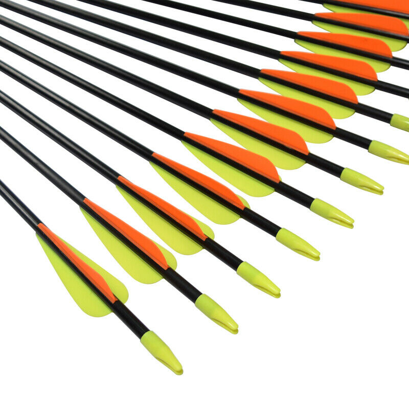 Youth Archery Fiberglass Arrows for Recurve bow Target Shooting (Pack of 12)