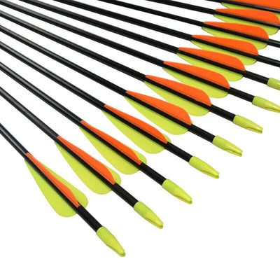 Youth Archery Fiberglass Arrows for Recurve bow Target Shooting (Pack of 12)
