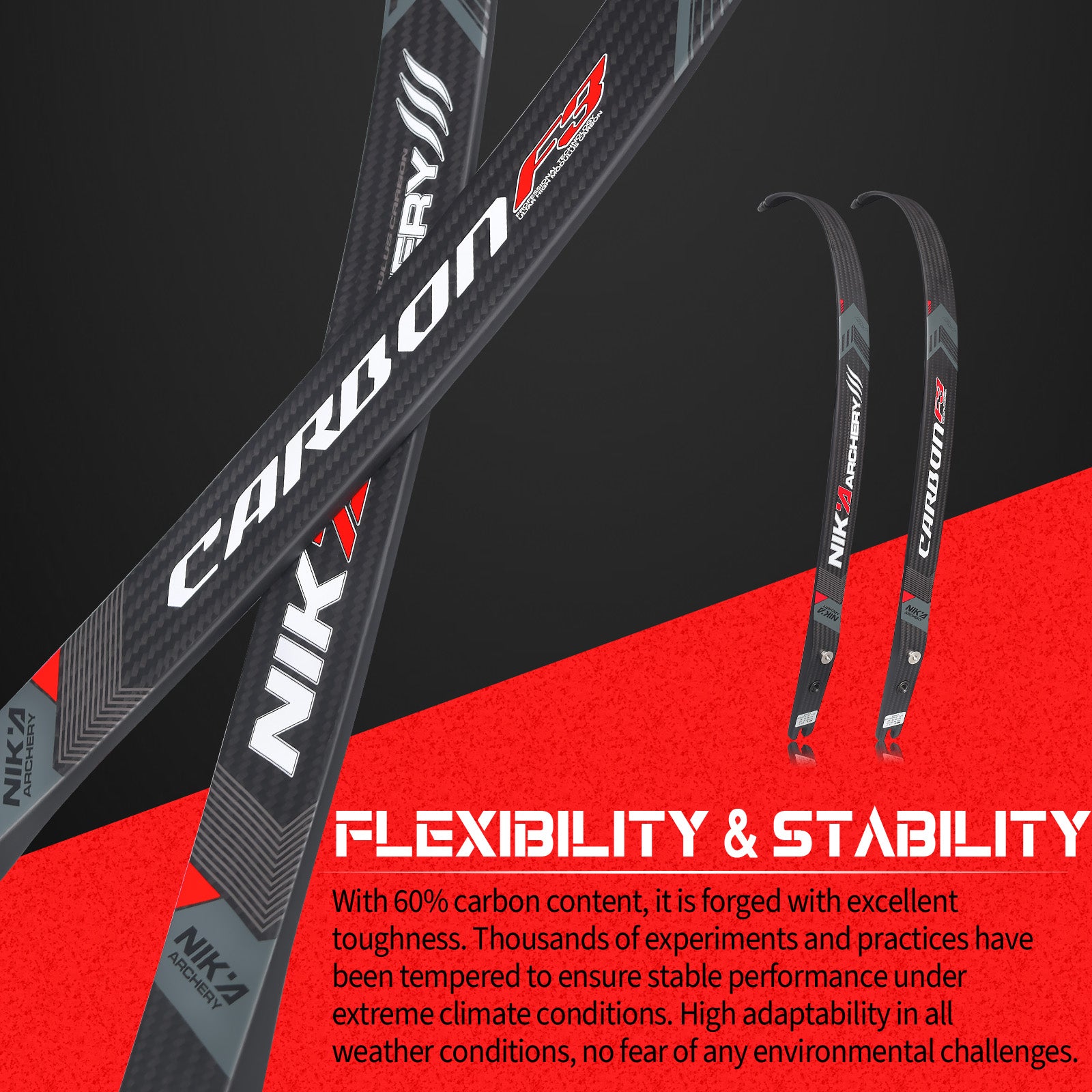 F3 Carbon F Interface Recurve Limbs