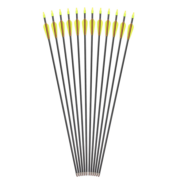 Youth Archery Fiberglass Arrows for Recurve bow Target Shooting (Pack of 12)