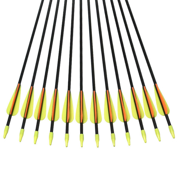 Youth Archery Fiberglass Arrows for Recurve bow Target Shooting (Pack of 12)